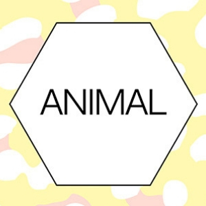 animal trend