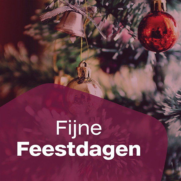 Fijne feestdagen >